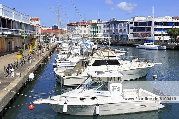 Boats in The Careenage  Bridgetown  Barbados  West Indies  Caribbean  Central America