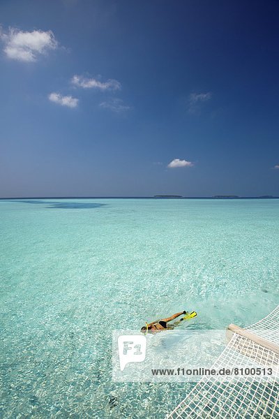 Snorkelling in the Maldives  Indian Ocean  Asia