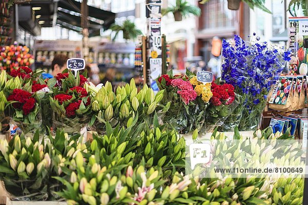Amsterdam  Hauptstadt  Europa  Blume  verkaufen  Niederlande