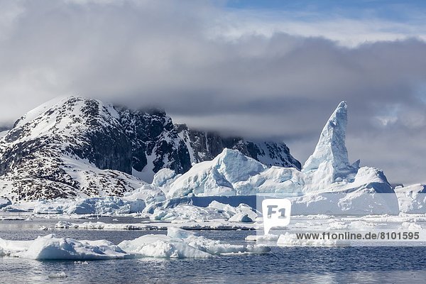 zwischen  inmitten  mitten  Eisberg  Meer  Eis  groß  großes  großer  große  großen  Insel  Seitenansicht  Antarktis  Halbinsel