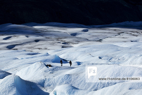 Eiskletterer am Gletscher Grey