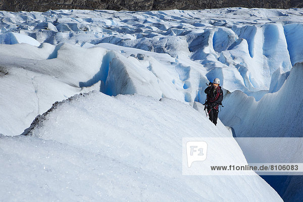 Ice climbers on Grey Glacier