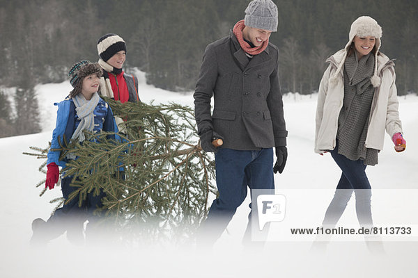 Happy family carrying fresh Christmas tree in snowy field