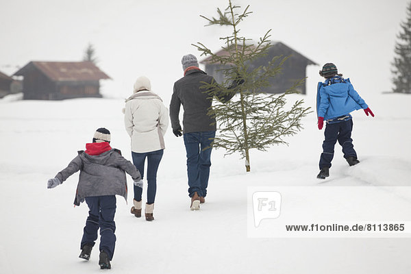 Family carrying fresh Christmas tree in snowy field