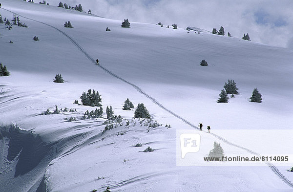 Rocky Mountains USA CO 10th Mountain Division Trail Skier cold peaceful remote challenge solitude winter cloudy skiing winter sports outdoor activities Colorado Horizontal color image photography