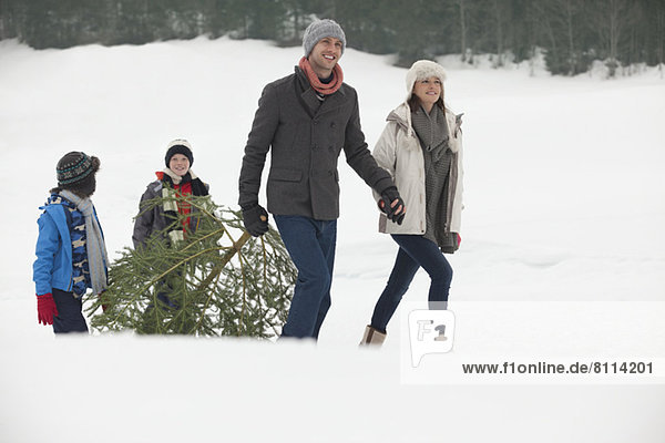 Smiling family dragging fresh Christmas tree in snowy field