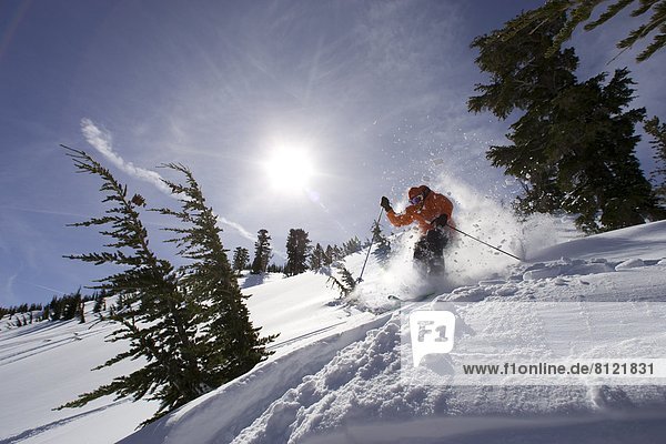Vereinigte Staaten von Amerika USA Außenaufnahme Einzelperson eine Person Wintersport Textfreiraum Berg Mann Farbaufnahme Farbe Sport Tag Freizeit Ski Blendenfleck lens flare Winterkleidung Kälte Erwachsener Kalifornien freie Natur Schnee