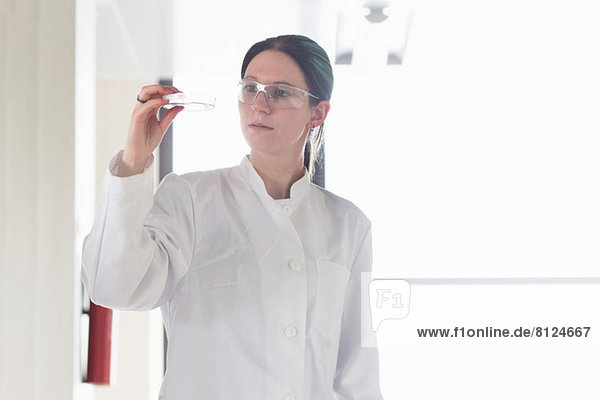 Porträt einer Wissenschaftlerin bei der Untersuchung des Reagenzglases