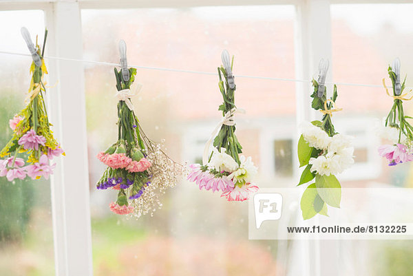 Flowers hung upside down on clothes line