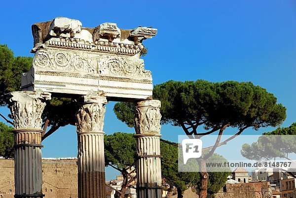 Rom  Hauptstadt  Erde  Säule  UNESCO-Welterbe  Erbe  Italien