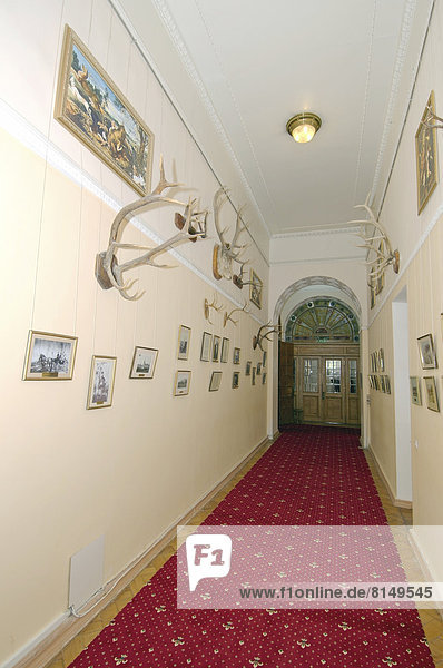 Room of trophies  Livadia Palace