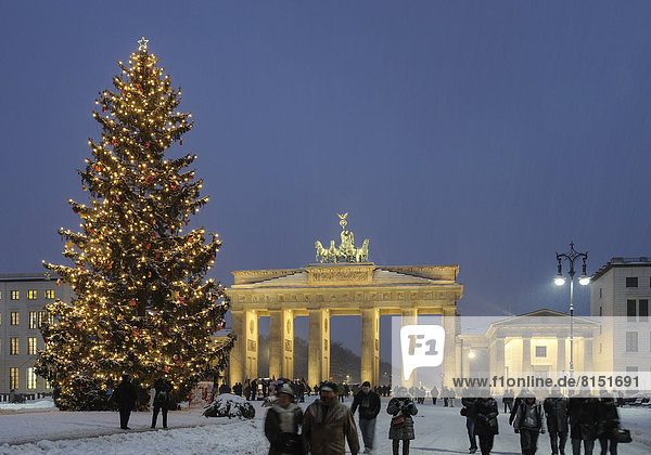 Weihnachtsbaum  Brandenburger Tor  Berlin  Deutschland