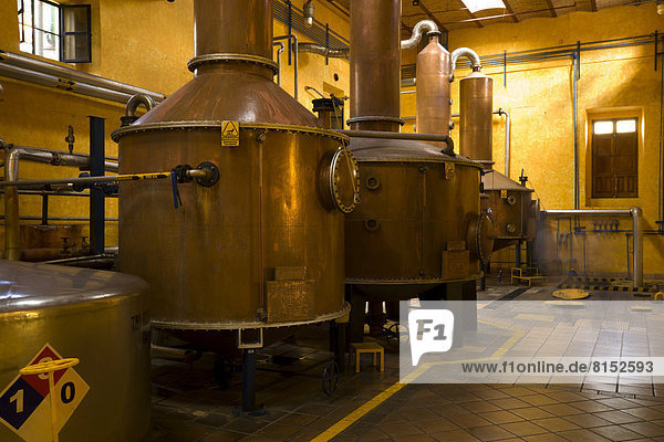 Kupfertanks zur Tequila-Destillation in der Tequila-Brennerei José Cuervo