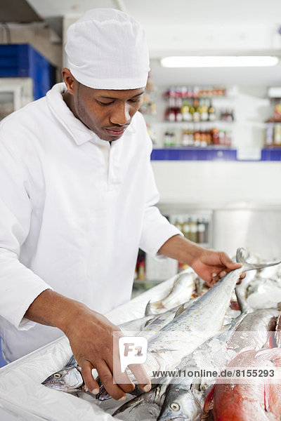Fisch  Pisces  Vorbereitung  mischen  Lebensmittelhändler  Markt  Mixed