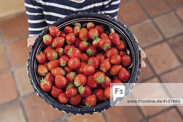 Deutschland  Nordrhein-Westfalen    Mädchen hält Schale mit Erdbeeren  Nahaufnahme
