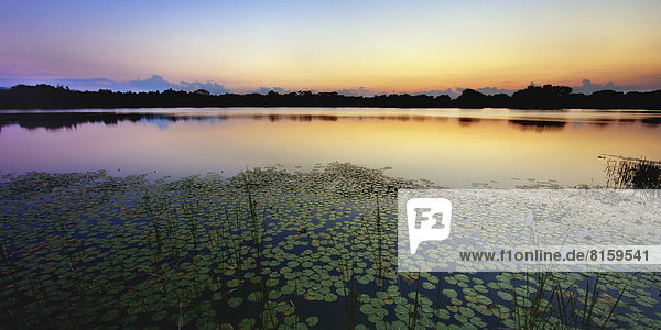 USA  Florida  Maitland  Blick auf Lake Destiny bei Sonnenuntergang