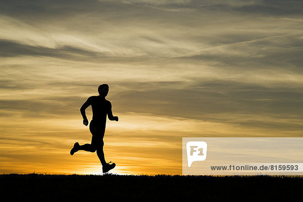 Deutschland  Reife Männer joggen bei Sonnenuntergang