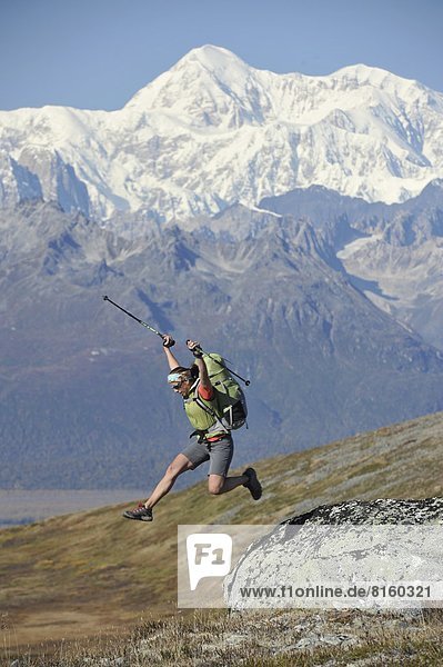 Backpacker hikes Kesugi Ridge Trail in Denali State Park  Alaska.