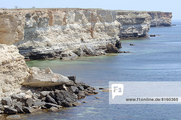 Coastal landscape  cliffs