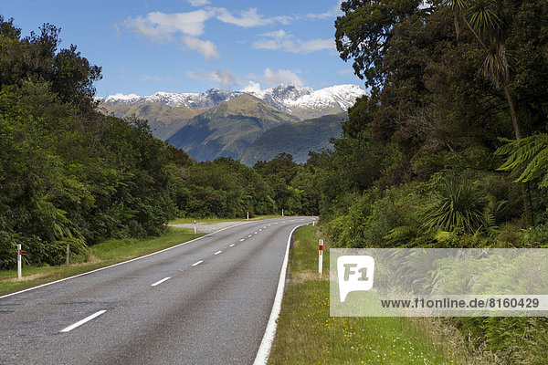 Haast Highway mit Aussicht auf die Southern Alps und den Mount Macfarlane  2057m