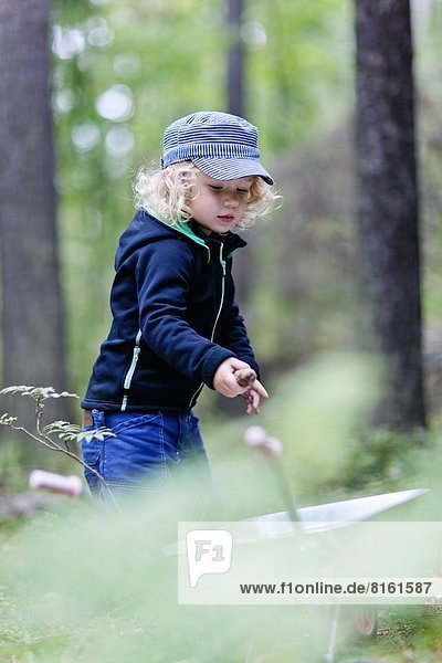 Junge - Person  Wald  Schubkarre