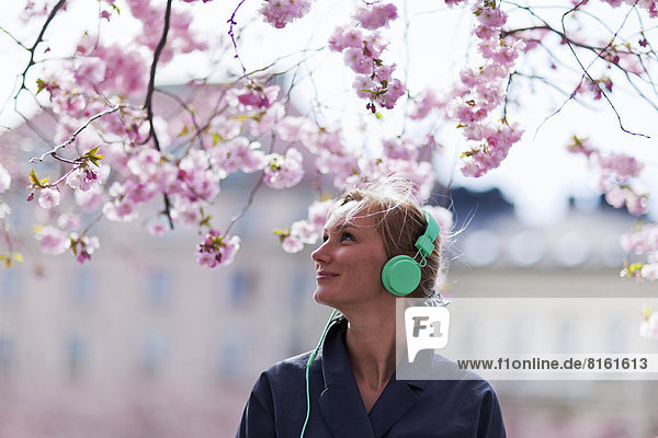 nahe  Frau  zuhören  Baum  Kirsche  Blüte  Musik