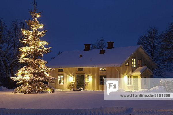 Nacht frontal Weihnachtsbaum Tannenbaum Blockhaus Holzhaus