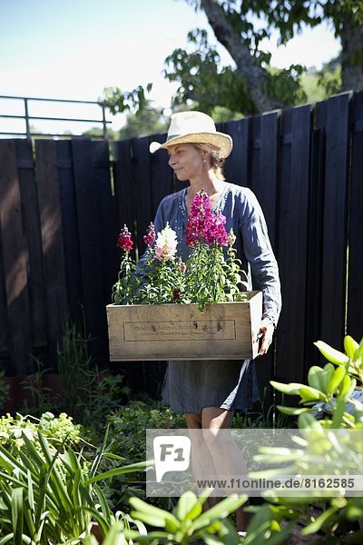 Frau arbeiten reifer Erwachsene reife Erwachsene Garten
