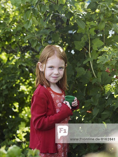 Girl picking red currants in garden