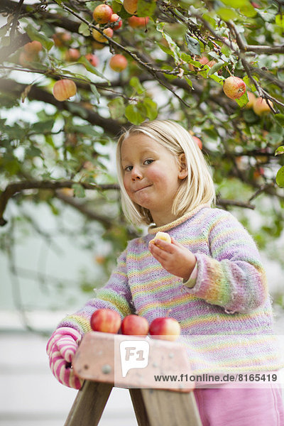 Verkostung  Apfel  2-3 Jahre  2 bis 3 Jahre  Mädchen