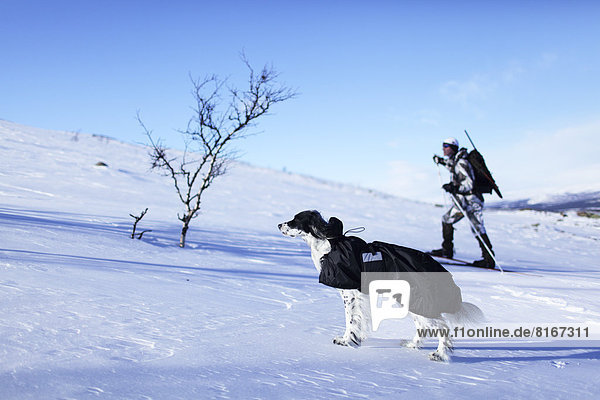 Hunter skiing with dog