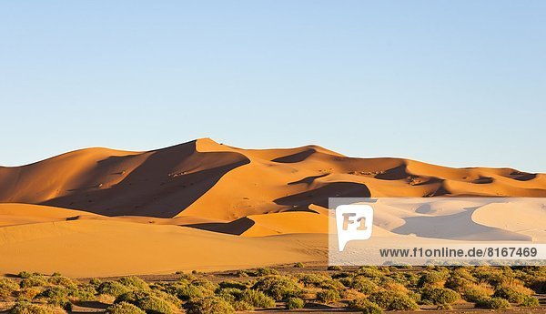 Sand  Düne  Marokko