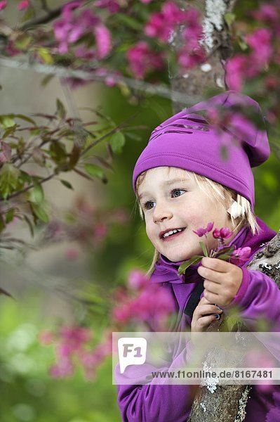 Girl picking purple flowers