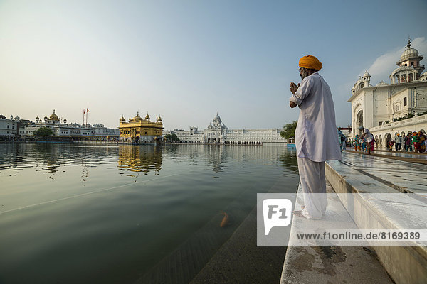 Ein gläubiger Sikh betet am heiligen Teich  Harmandir Sahib oder Goldener Tempel  wichtigstes Heiligtum der Sikhs