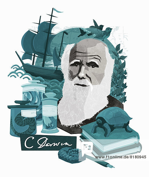 Montage of Charles Darwin  natural science and discovery
