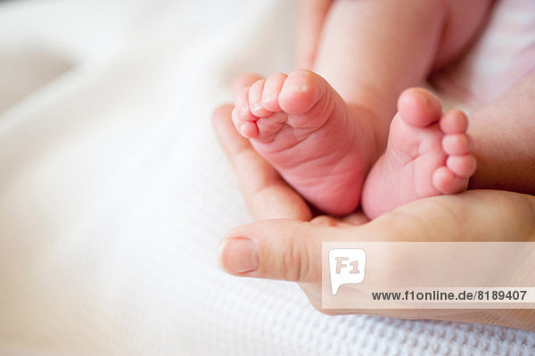 Mid adult woman holding baby girl's feet  close up
