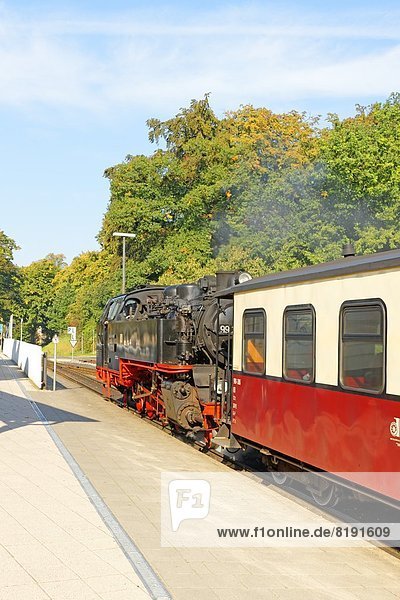 Dampflokomotive  Bad Doberan  Mecklenburg-Vorpommern  Deutschland  Europa