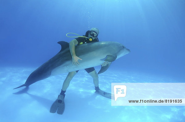 Scuba diver hugging a Bottlenose Dolphin (Tursiops truncatus)  dolphinarium