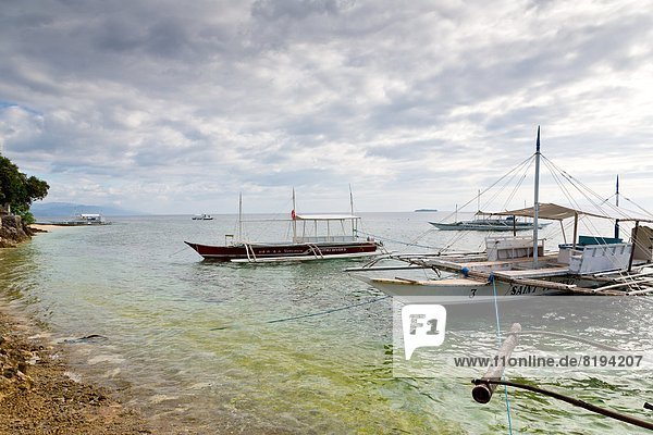 Boote auf dem Meer  Cebu  Philippinen  Asien