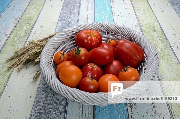 Tomatoes in basket  Brandenburg  Germany  Europe