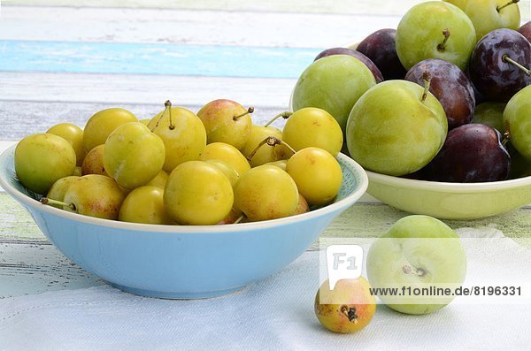 Plums and mirabelle Plums in a bowl  Brandenburg  Germany  Europe