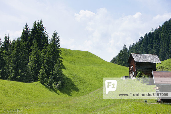 Österreich  Blick auf Berge und Hütten im Montafon