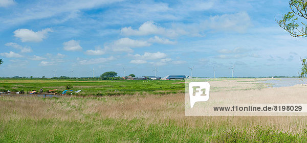 Germany  Schleswig Holstein  View of landscape with wind turbine in background