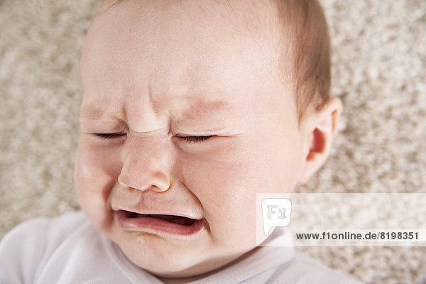 Germany  North Rhine Westphalia    Baby girl crying  close up