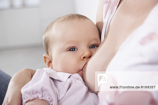 Germany,  North Rhine Westphalia,  , Mother breastfeeding her daughter,  close up