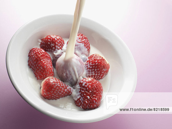Schale Erdbeeren übergossen mit frischer Milch