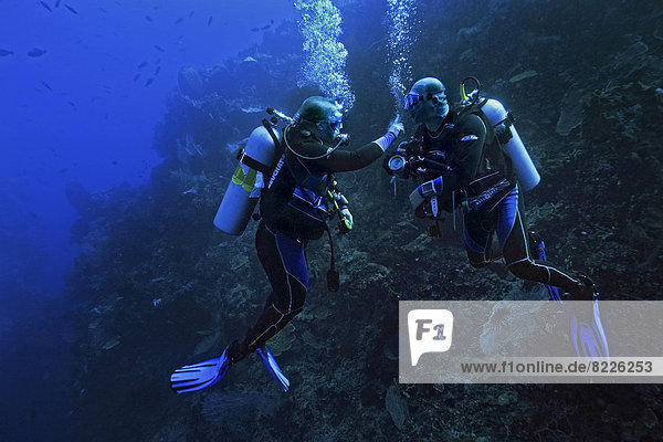 Two scuba divers practicing sign language