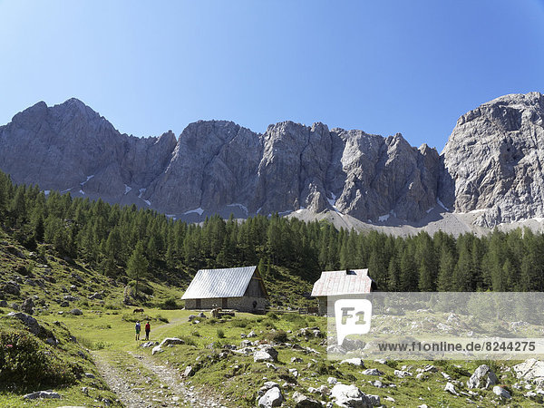 Obere Wolayer Alm mountain pasture  Biegengebirge Mountains