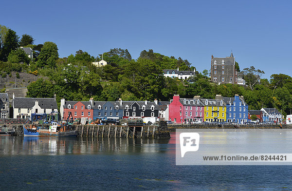 Colourful houses on the harbour