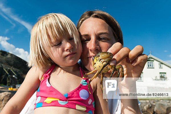 zeigen Krabbe Krebs Krebse Tochter Mutter - Mensch